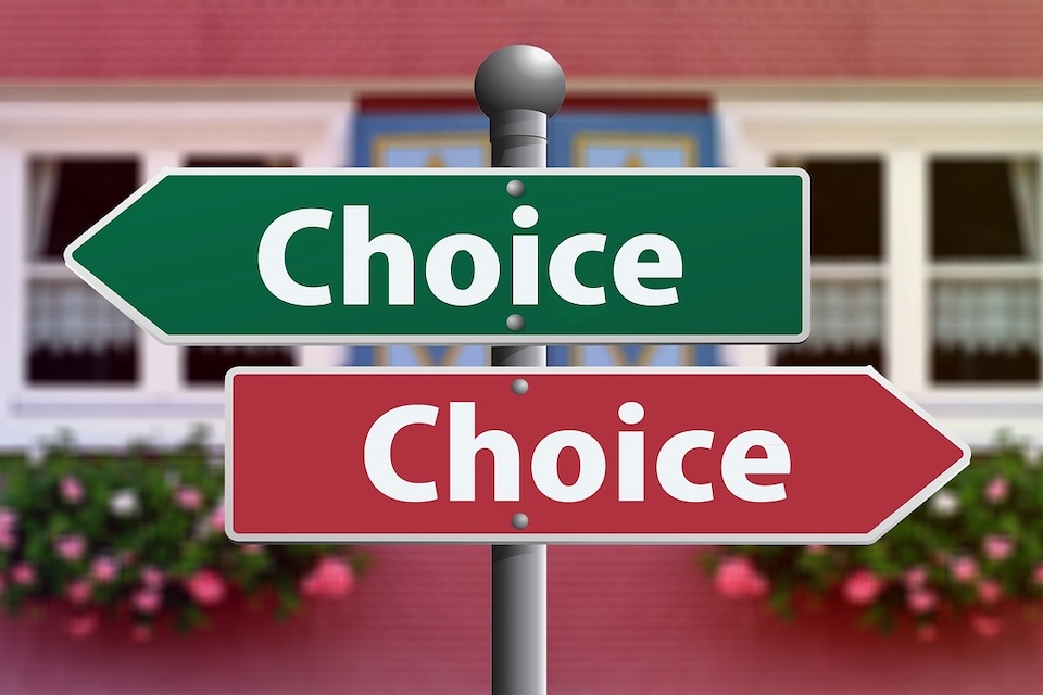 reasons of the choice